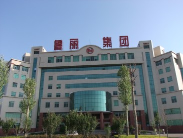 鲁丽集团有限公司：加强党建建设 突出自主创新 确保企业持续快速发展