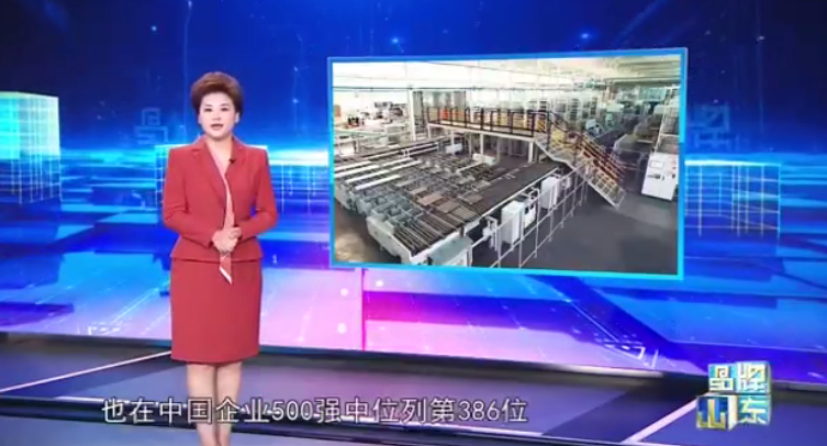 《品牌山东》走进鲁丽家居和鲁丽木业